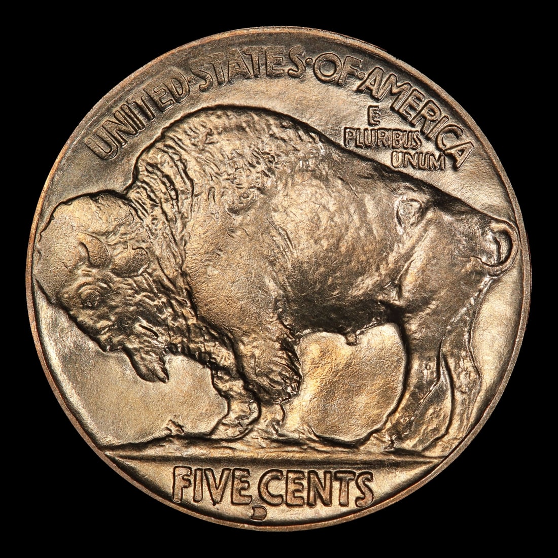 1929-d Buffalo Nickel 5c ms65 SEGS - 3