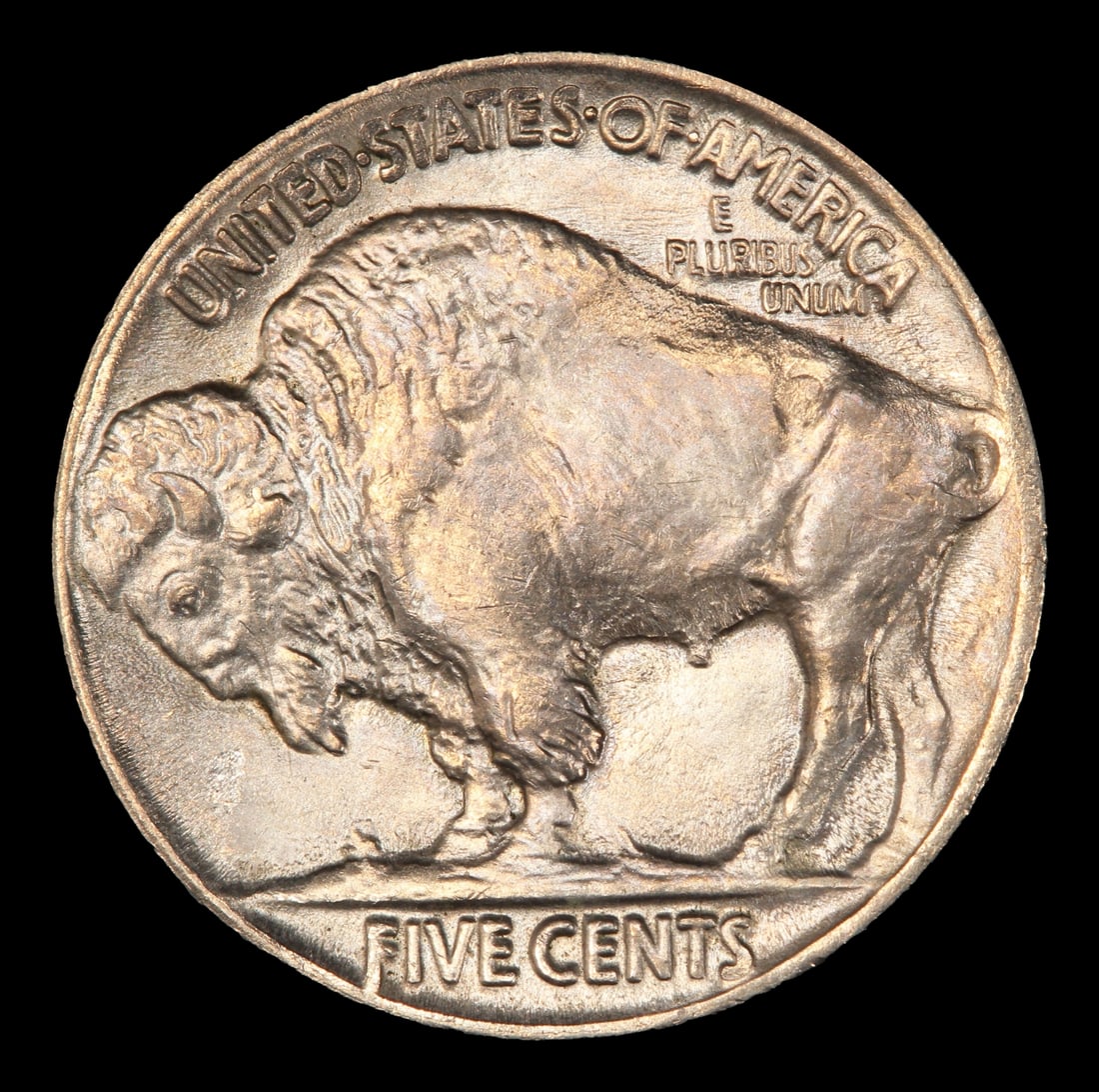 1921-p Buffalo Nickel 5c ms65 SEGS - 3