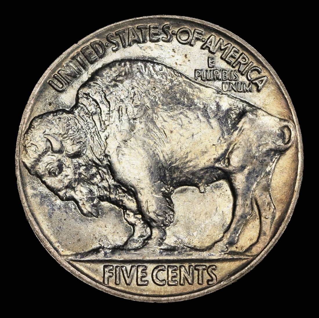 1924-p Buffalo Nickel 5c ms65 SEGS - 3