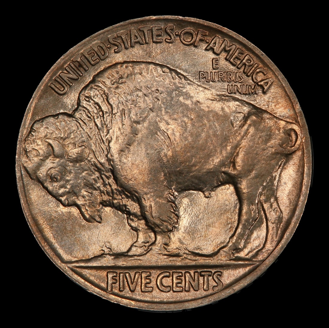 1924-p Buffalo Nickel 5c ms65 SEGS - 3