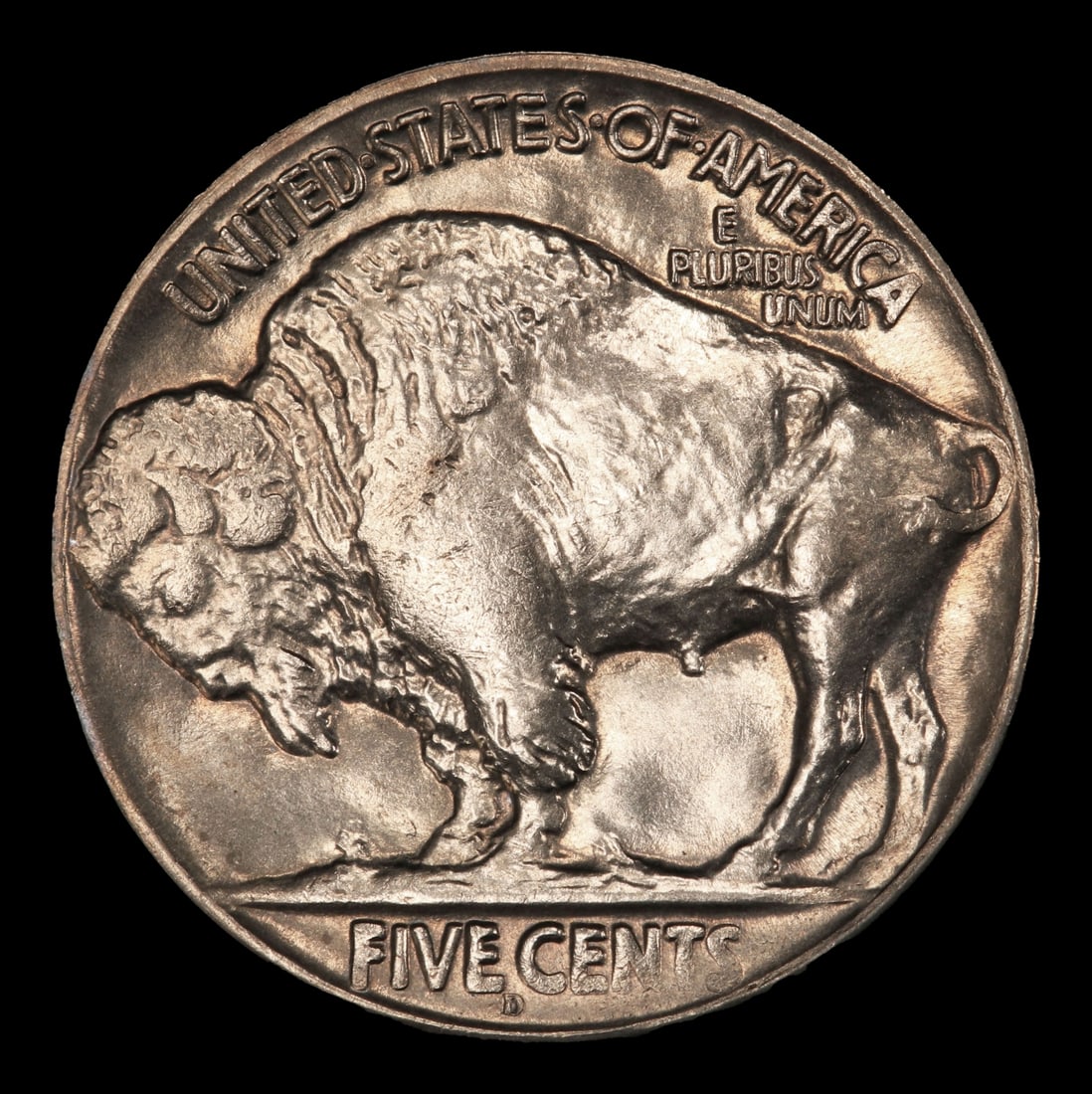 1925-d Buffalo Nickel 5c ms65 SEGS - 3