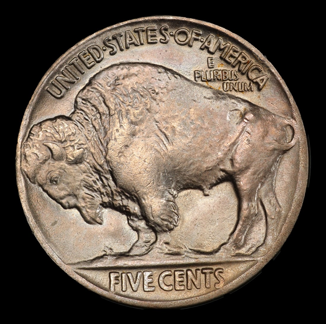 1925-p Buffalo Nickel 5c ms66 SEGS - 3