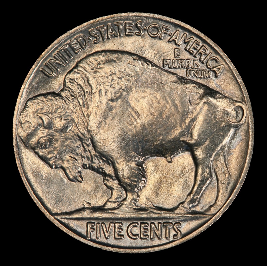 1929-p Buffalo Nickel Near Top Pop 5c ms66+ SEGS - 3