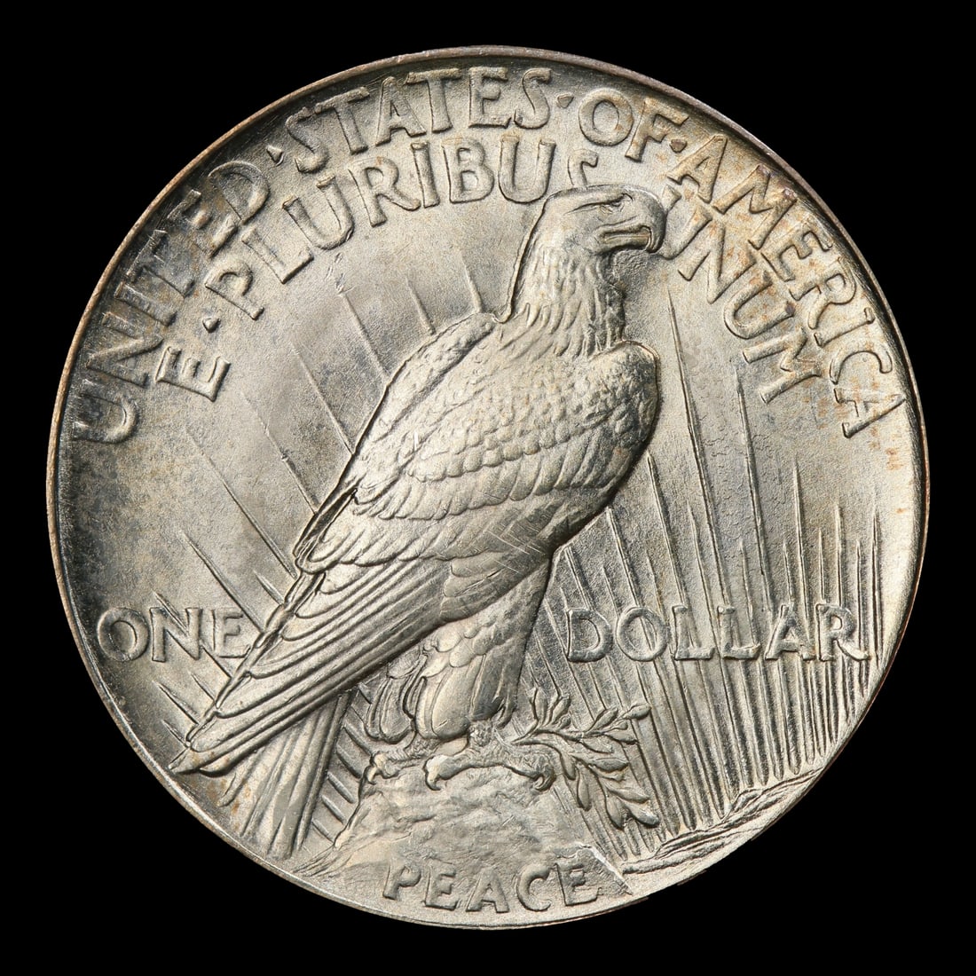 1921-p Peace Dollar $1 ms65 SEGS - 3