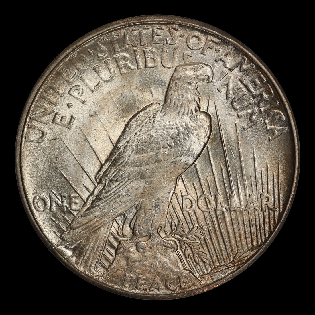 1921-p Peace Dollar $1 ms65 SEGS - 3