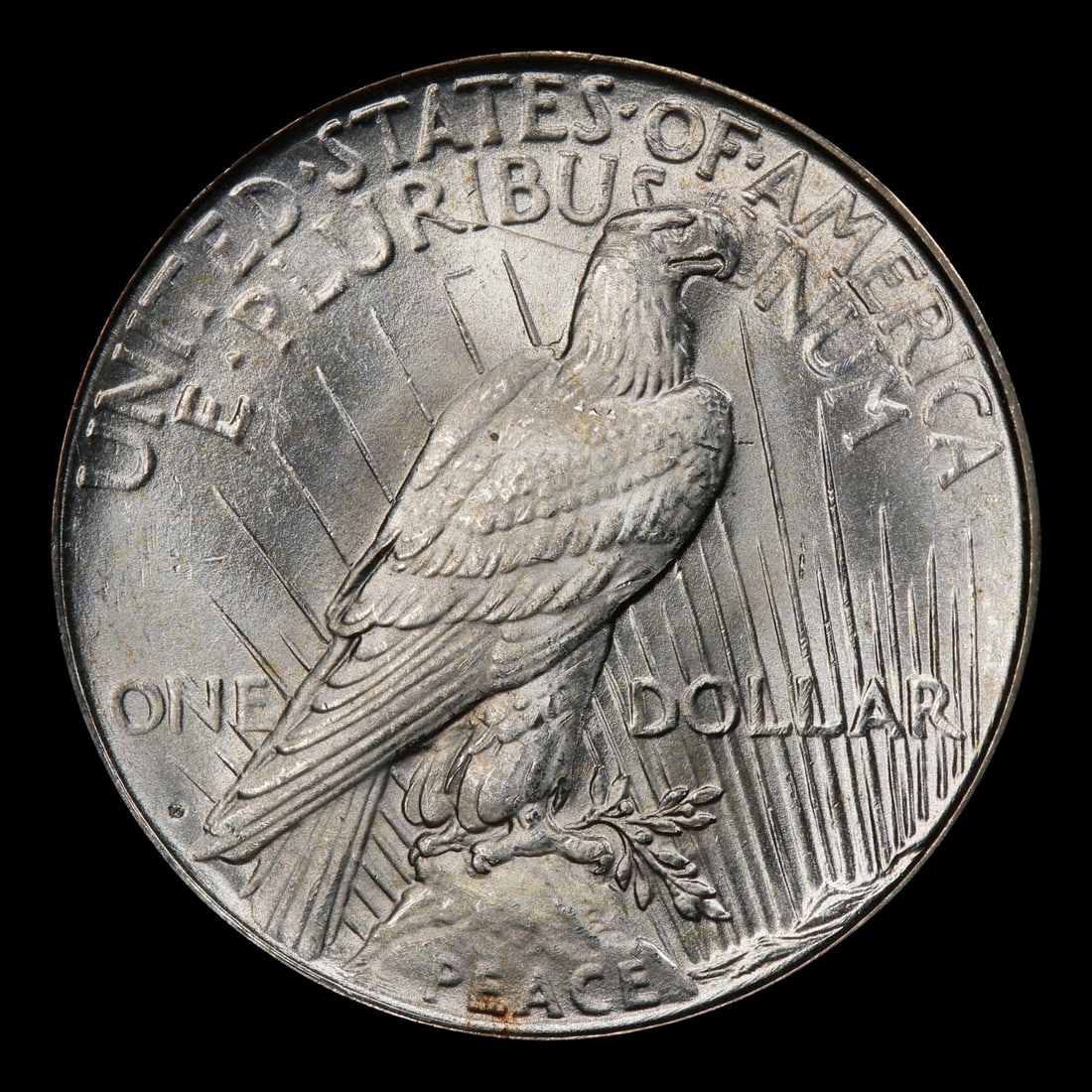 1923-d Peace Dollar $1 ms65 SEGS - 3