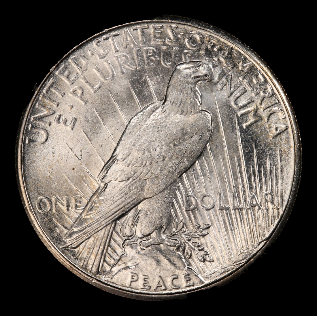 1925-s Peace Dollar $1 Grades ms64 - 3