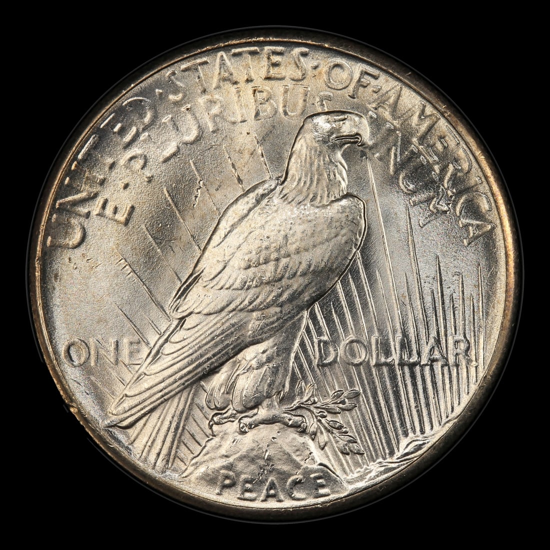 1928-p Peace Dollar $1 ms65 SEGS - 3