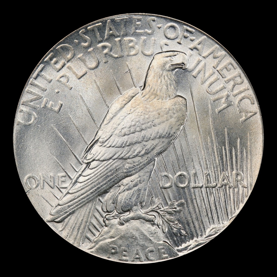 1928-p Peace Dollar $1 ms65 SEGS - 3