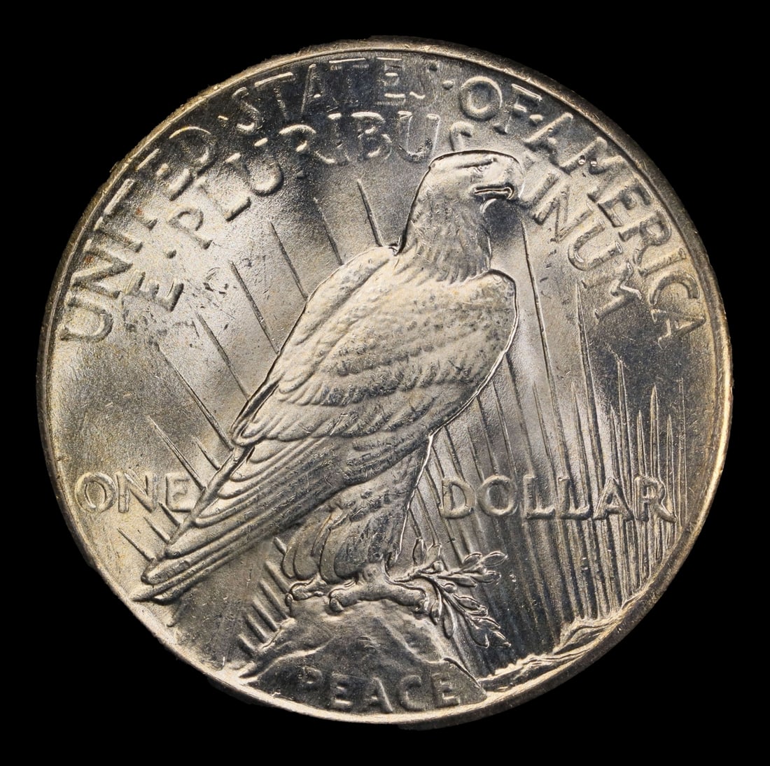 1928-p Peace Dollar $1 ms65 SEGS - 3