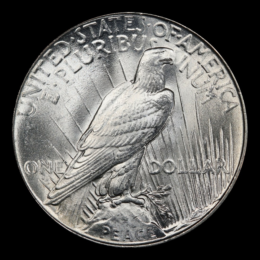 1934-p Peace Dollar $1 Grades ms64 - 3