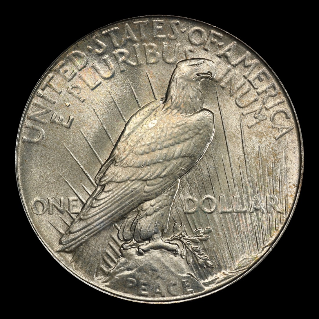 1934-p Peace Dollar TOP POP! $1 ms67 SEGS - 3