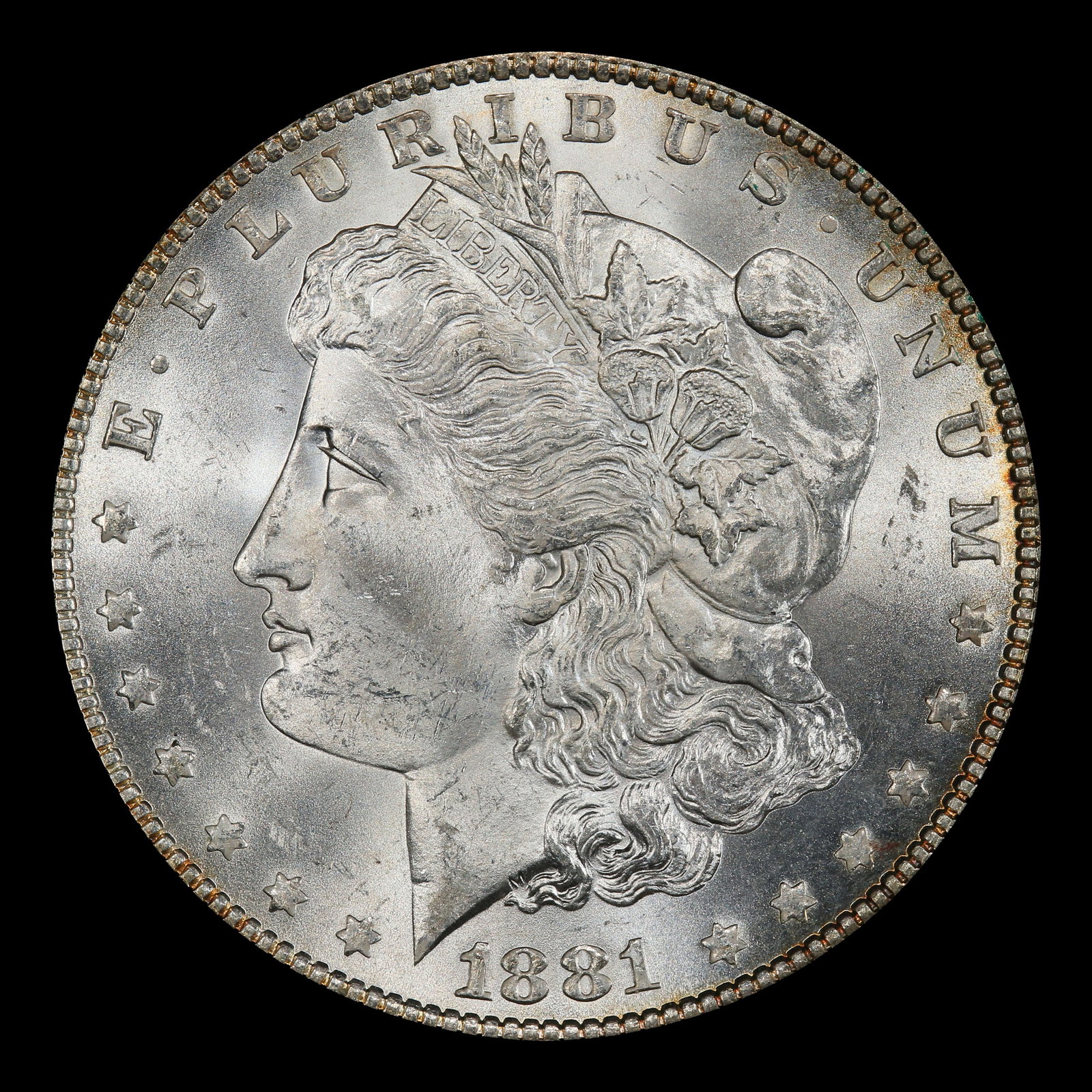 1881-p Morgan Dollar $1 Grades ms64 - 2