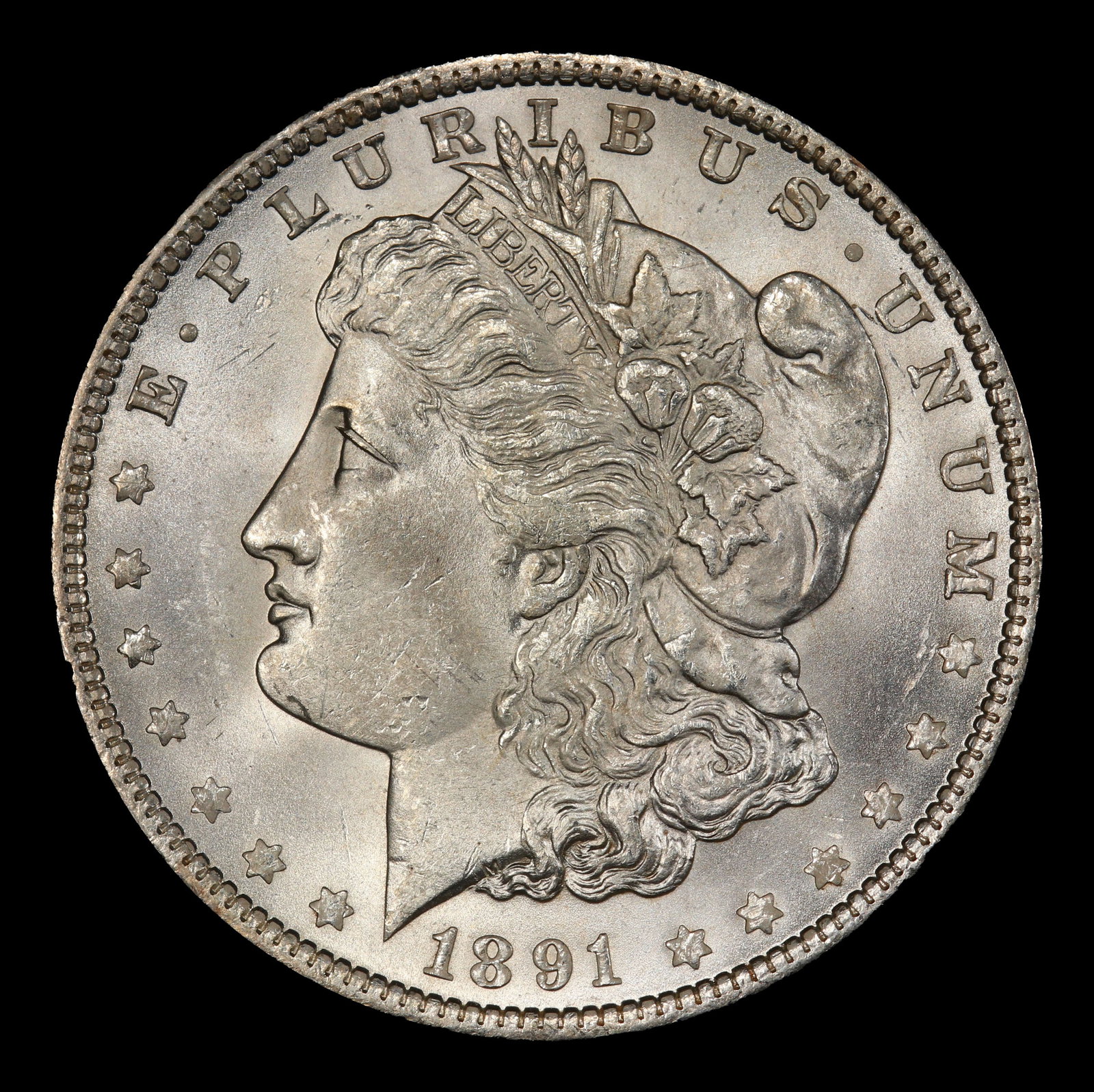 1891-p Morgan Dollar $1 Grades ms64 - 2