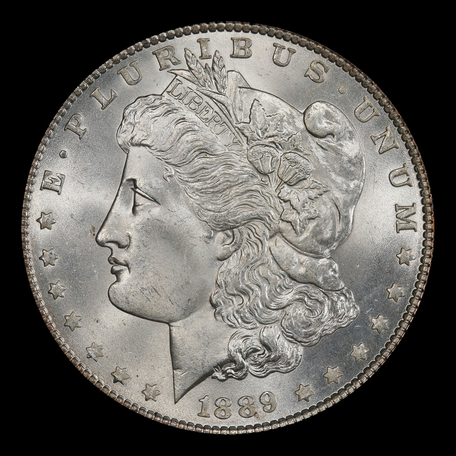 1889-p Morgan Dollar $1 Grades ms64 - 2