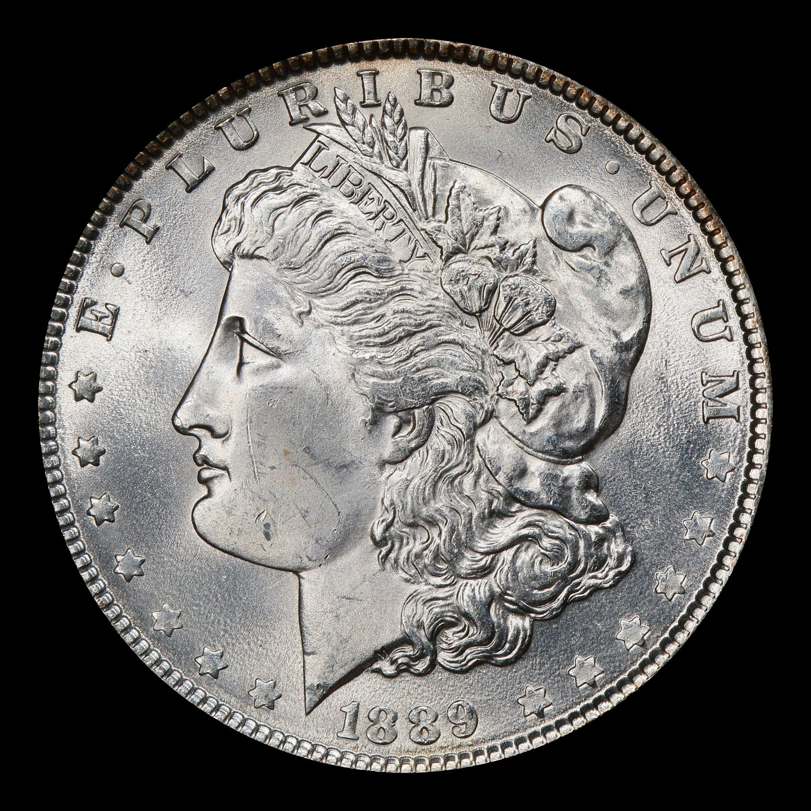 1889-p Morgan Dollar $1 Grades ms64+ - 2