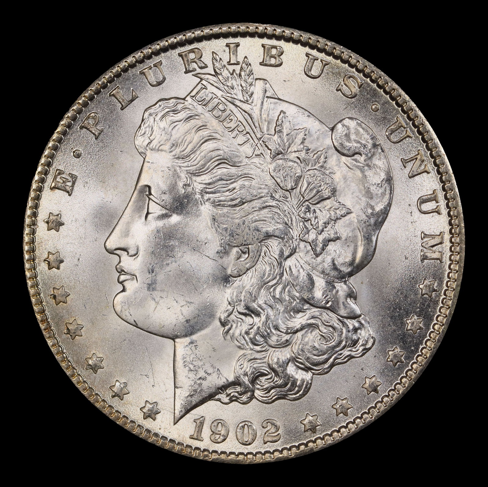 1902-o Morgan Dollar $1 Grades ms64 - 2