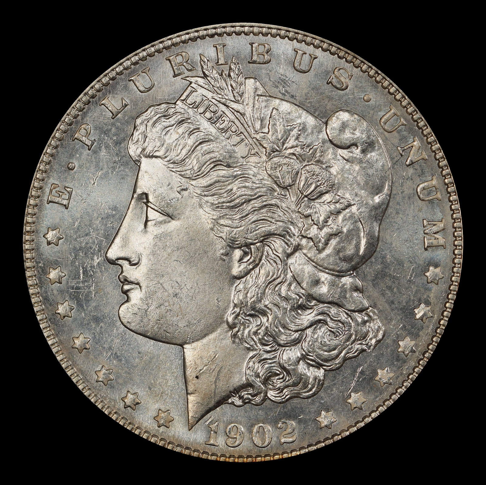 1902-p Morgan Dollar $1 Grades ms63 - 2