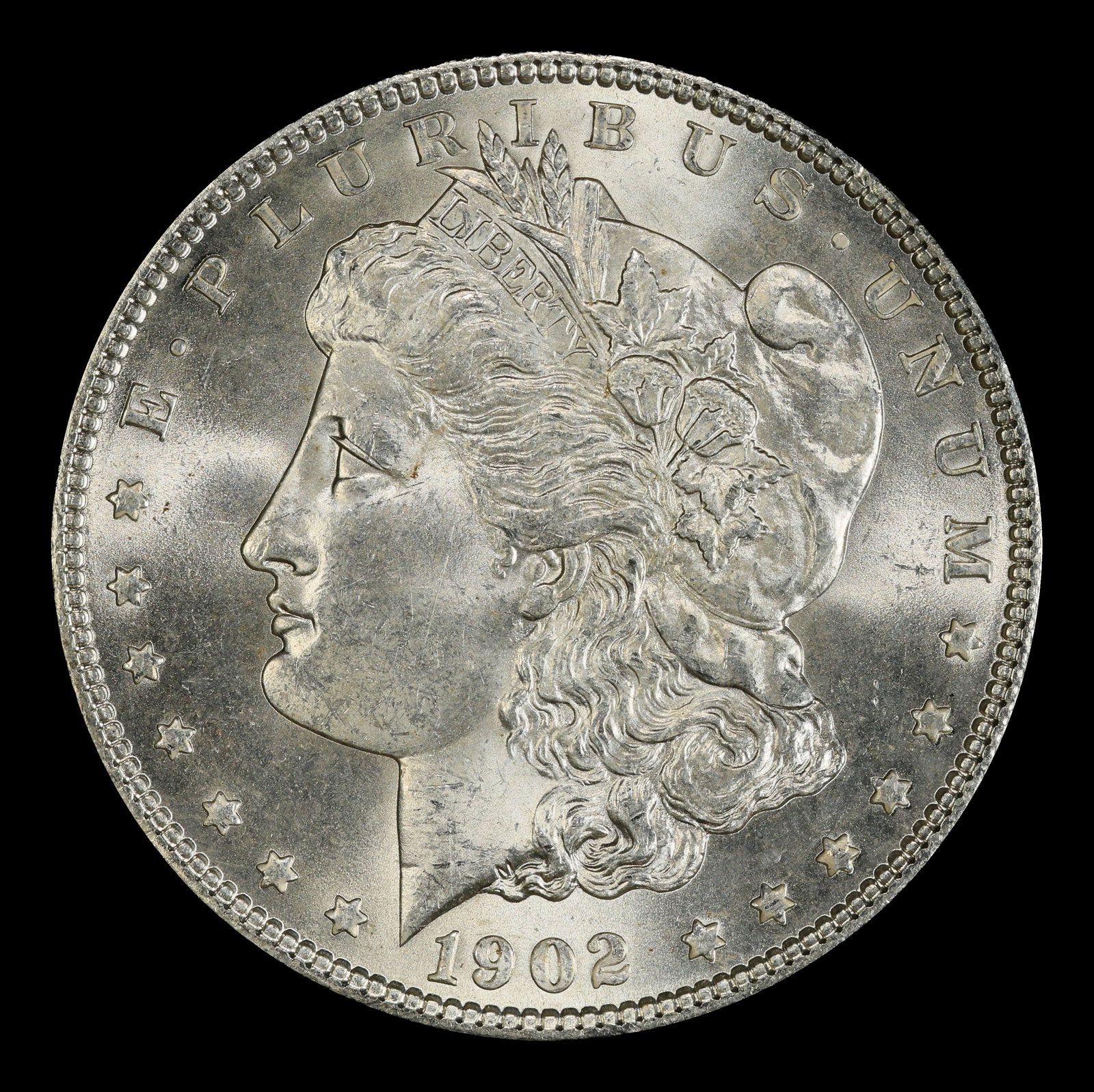 1902-p Morgan Dollar $1 Grades ms64 - 2