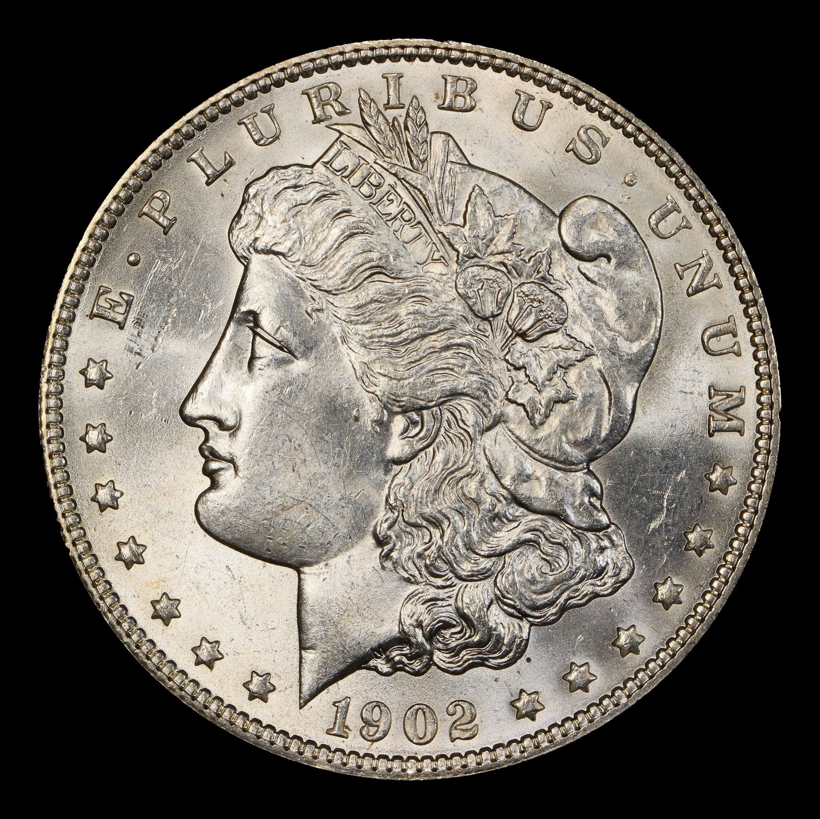 1902-p Morgan Dollar $1 Grades ms64+ - 2