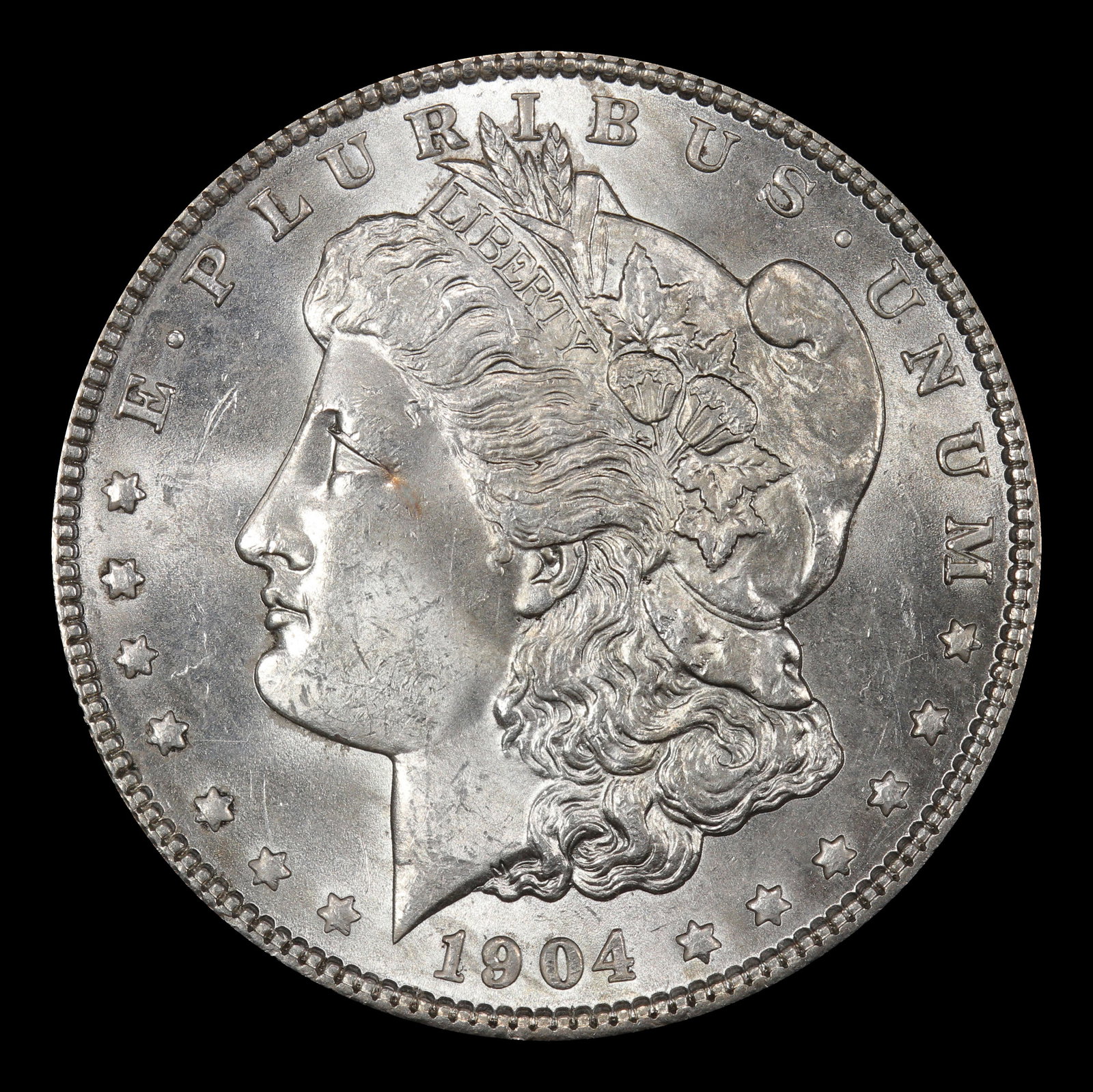 1904-p Morgan Dollar $1 Grades ms64 - 2