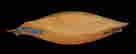 item-8831553=2