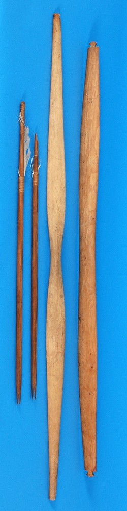 Two Puget Sound Child's Bows One Made of Maple 36": Two Puget Sound Child's Bows One Made of Maple 36" L. the Other Made of Yew Wood 34" L. Both Fine Condition and Two Cedar Arrows