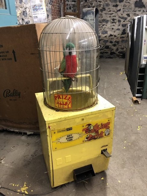 Talking Parrot Coin Operated Arcade Game: Talking Parrot Coin Operated Arcade Game, complete. Dimensions: 58 x 22.5 x 27