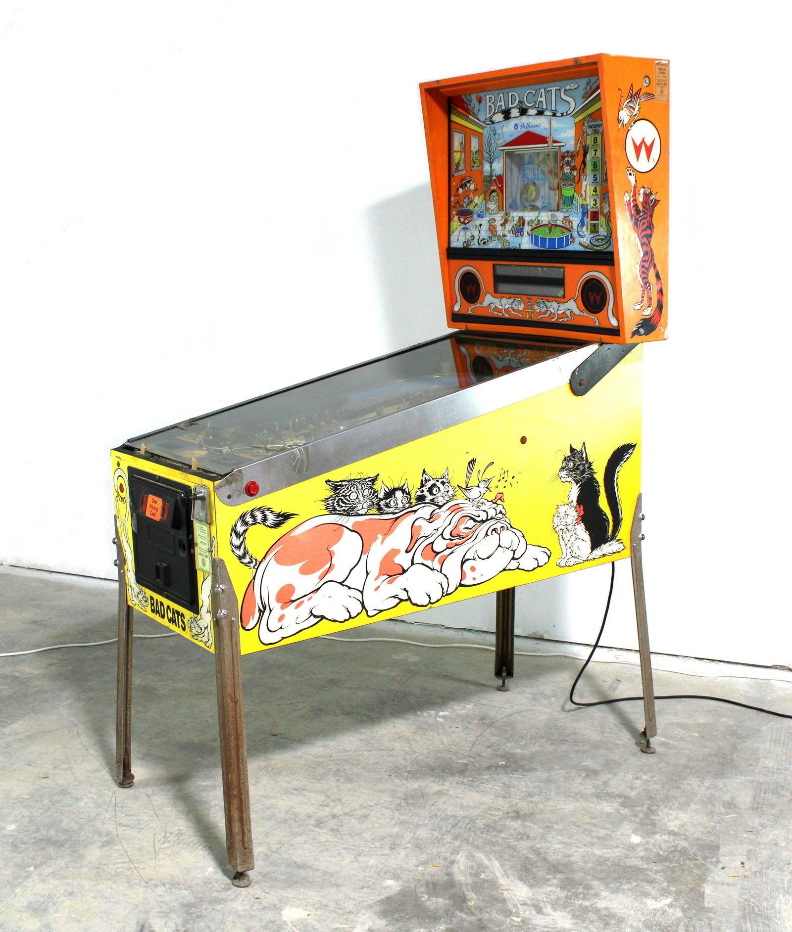 Williams Bad Cats Pinball Machine, Project (1 of 12)