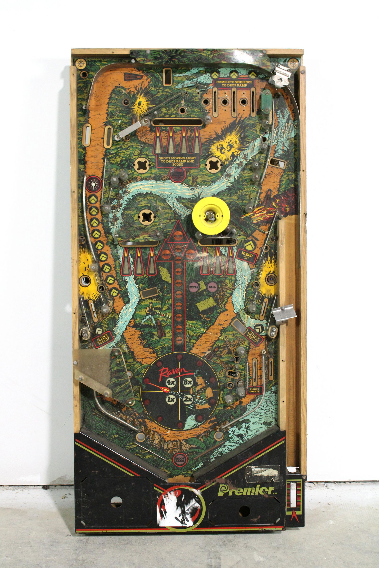 Premier Raven Pinball Playfield (1 of 2)