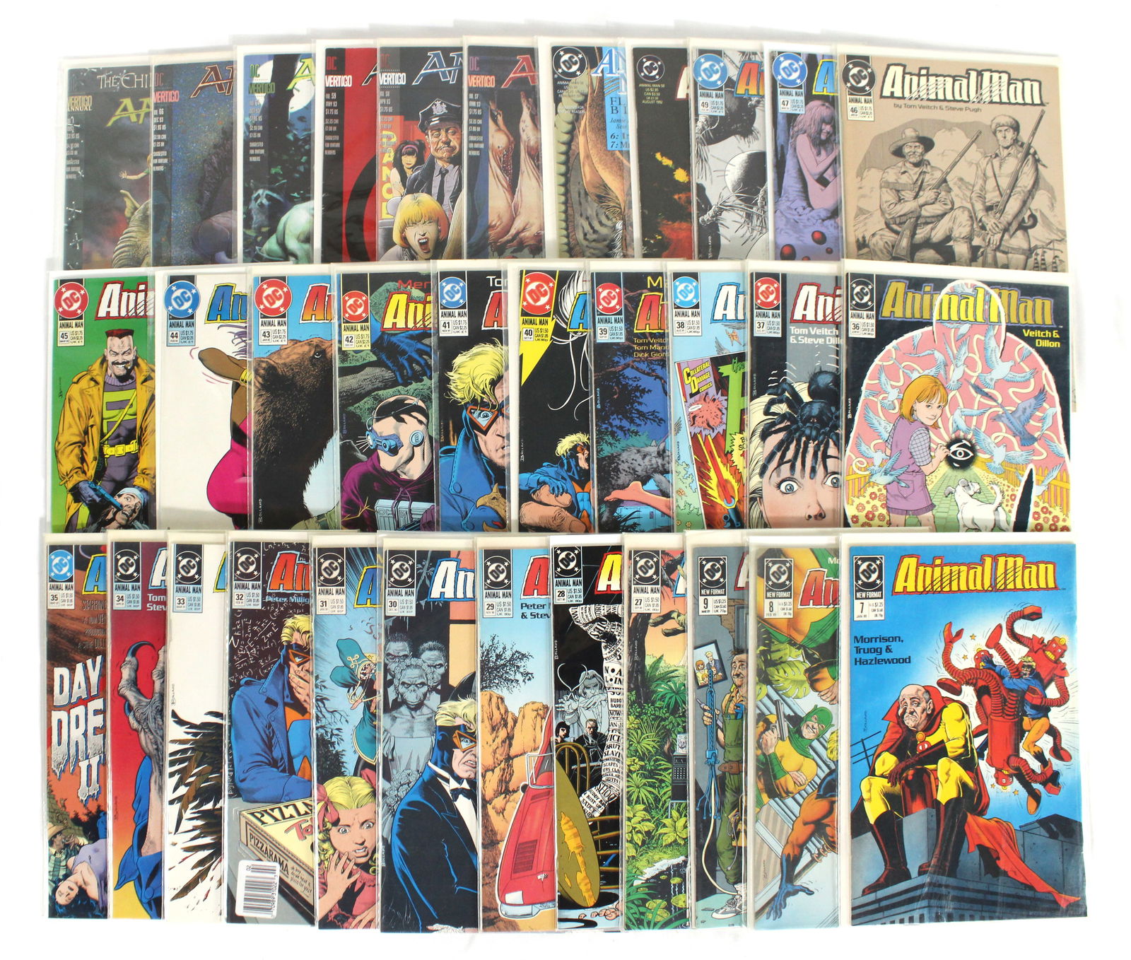 Animal Man, DC Comics (1 of 1)