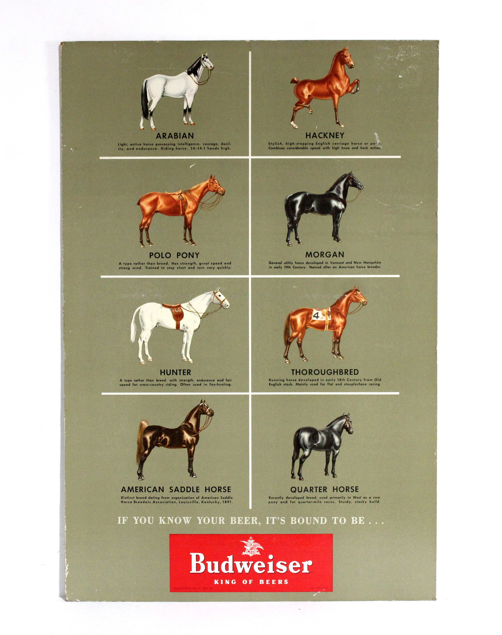 Budweiser Beer Cardboard Advertisement Featuring Horses, Lot 2 (1 of 1)