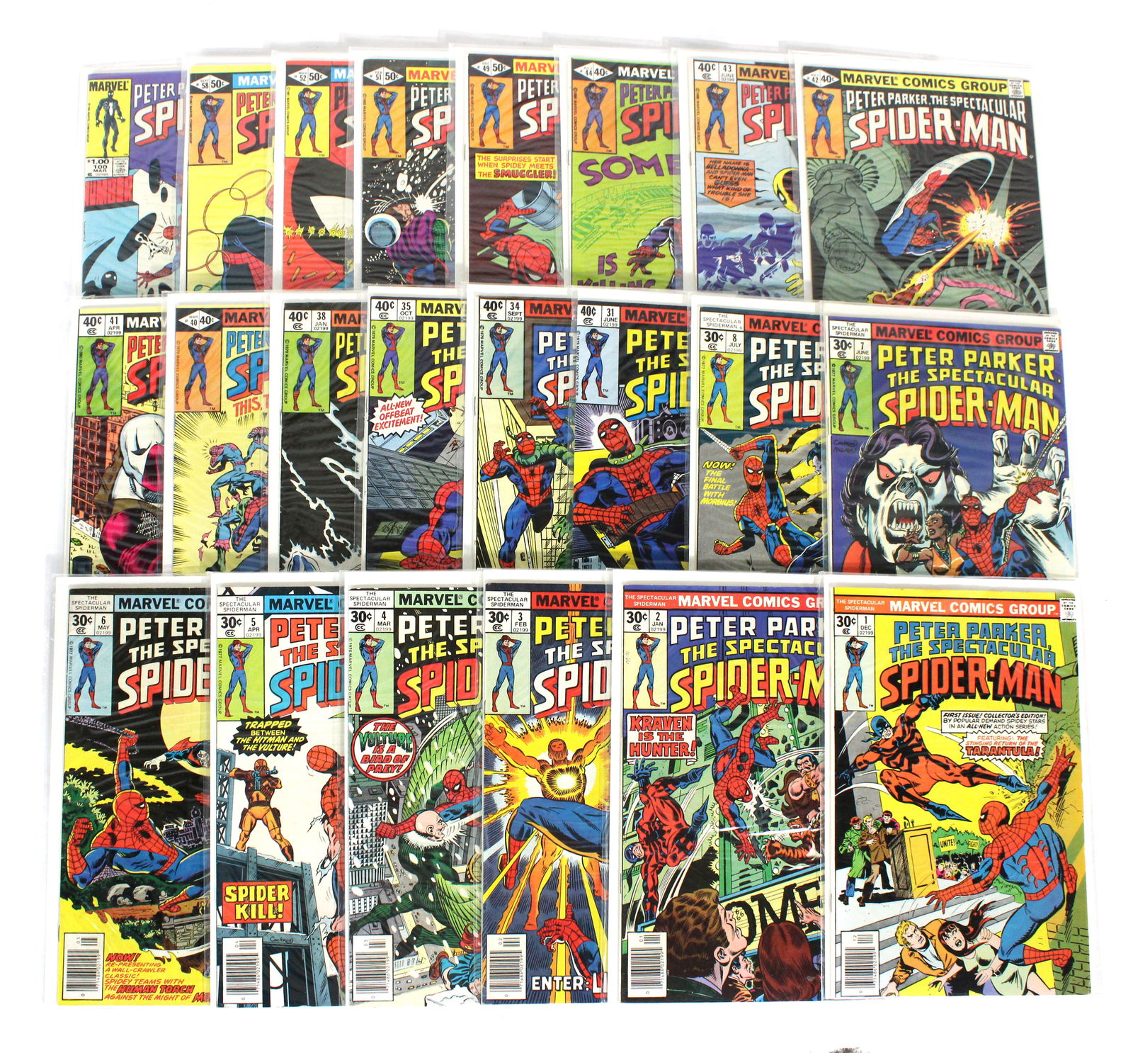 Peter Parker The Spectacular Spider-Man, Marvel Comics (Lot 1) (1 of 1)