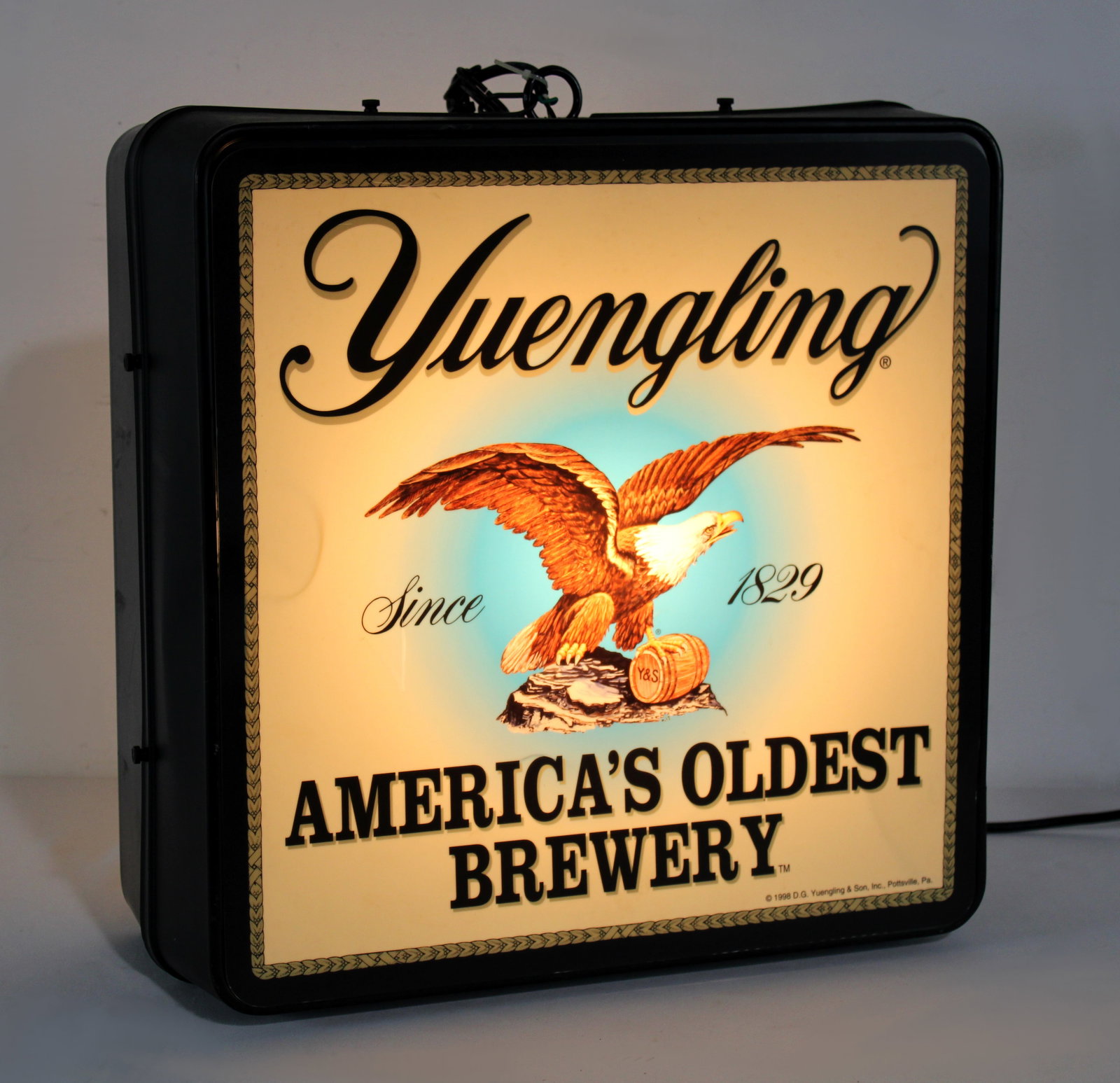Yuengling Beer Double Sided Hang Light Up Beer Sign (1 of 2)