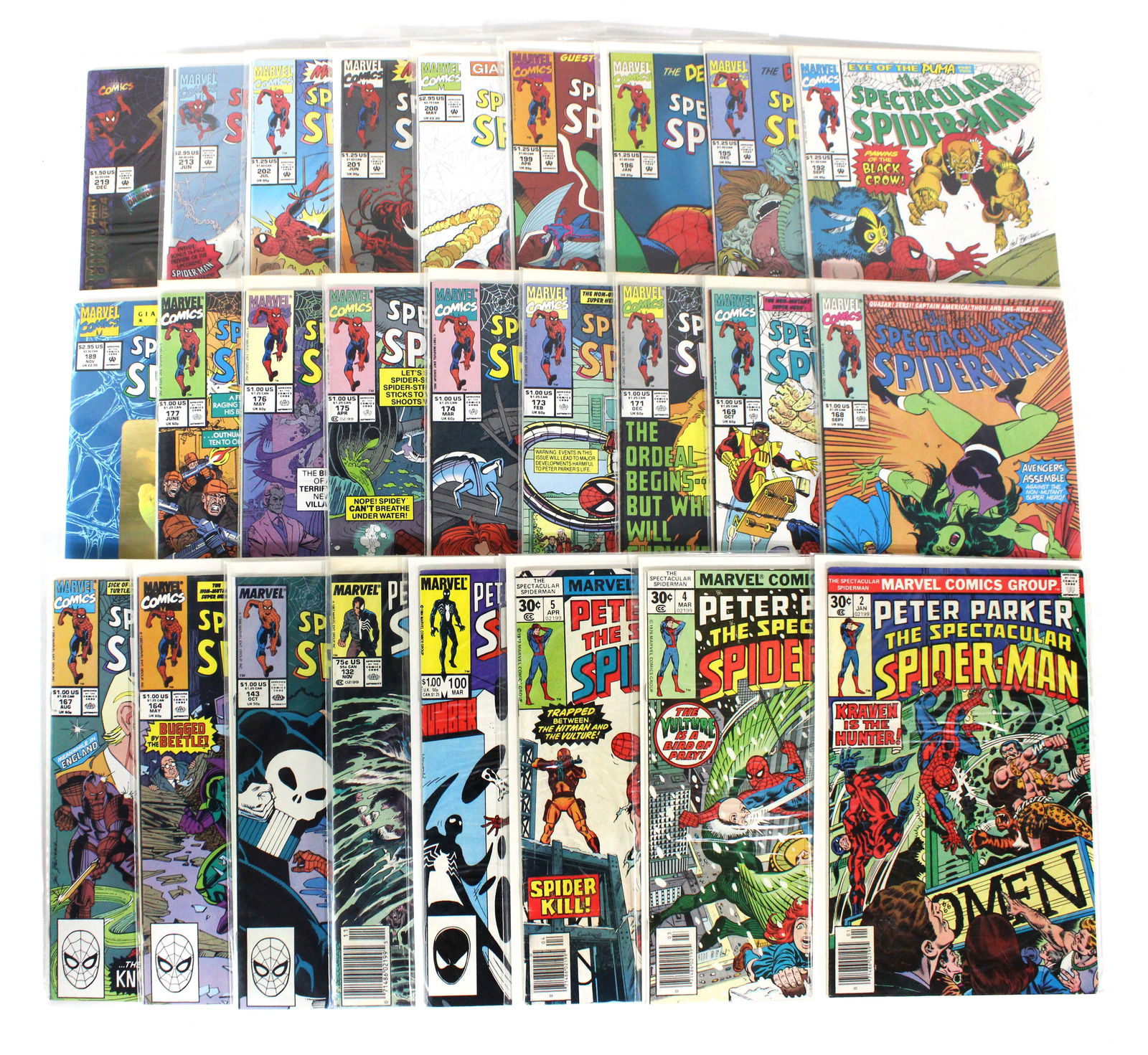 The Spectacular Spider-Man, Marvel Comics (1 of 1)