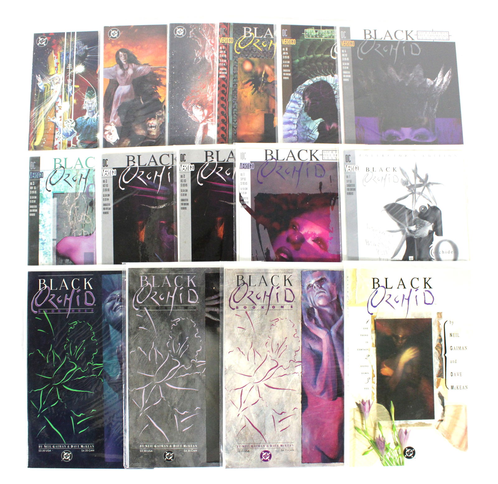 Black Orchid and The Books of Magic Comics (1 of 1)