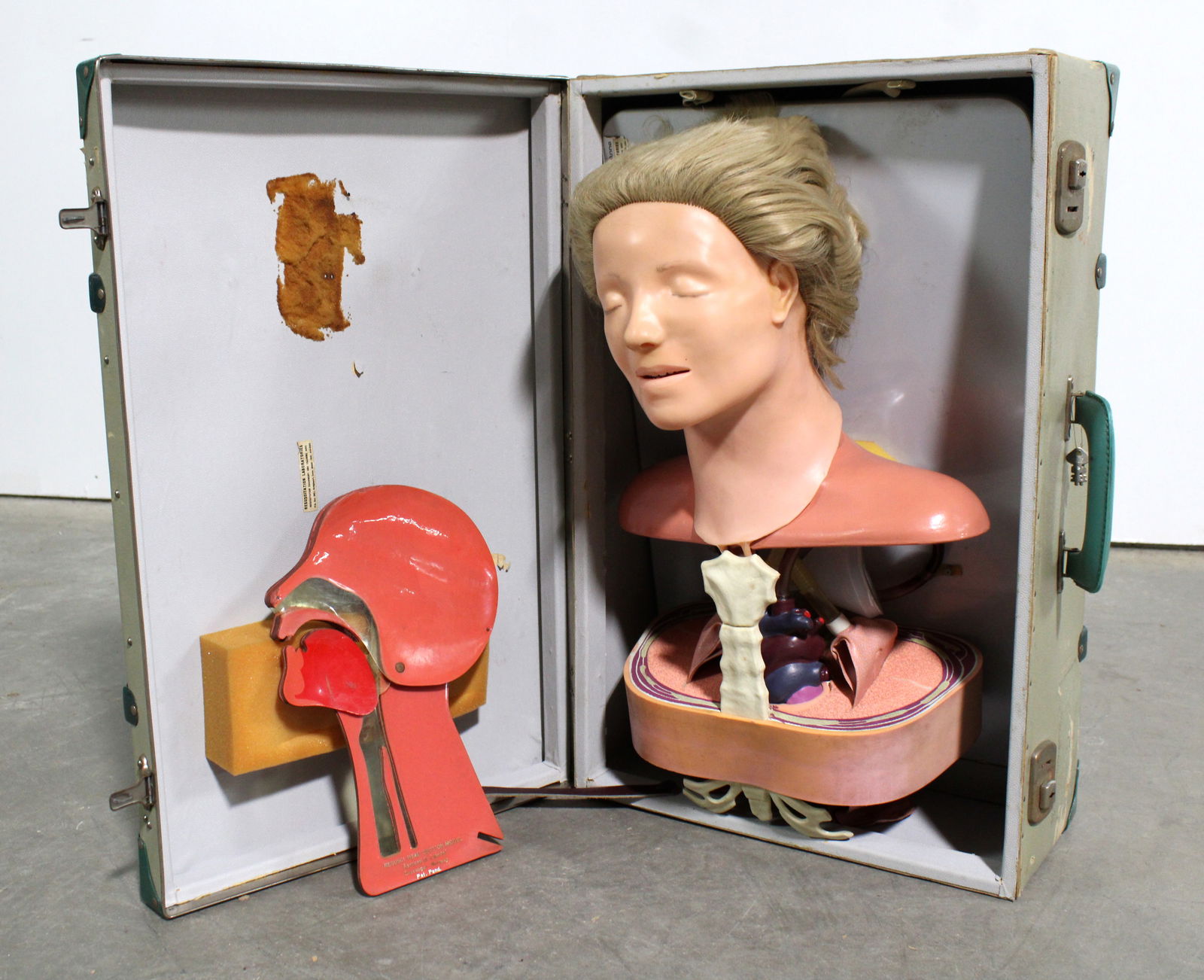 Vintage "Anatomic Anne" Medical Dummy in Case (1 of 5)