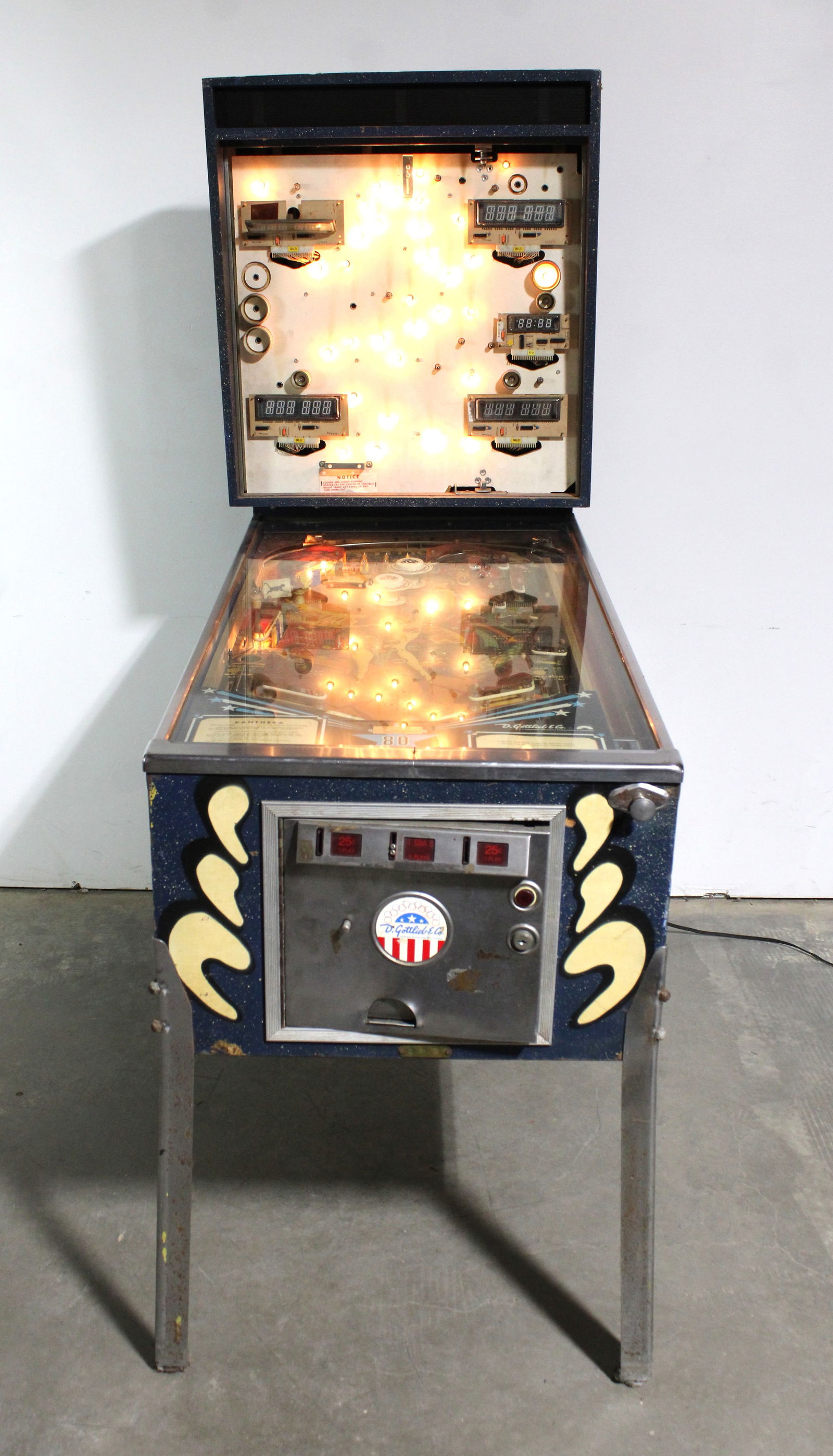 Gottlieb Panthera Pinball Machine (1 of 7)