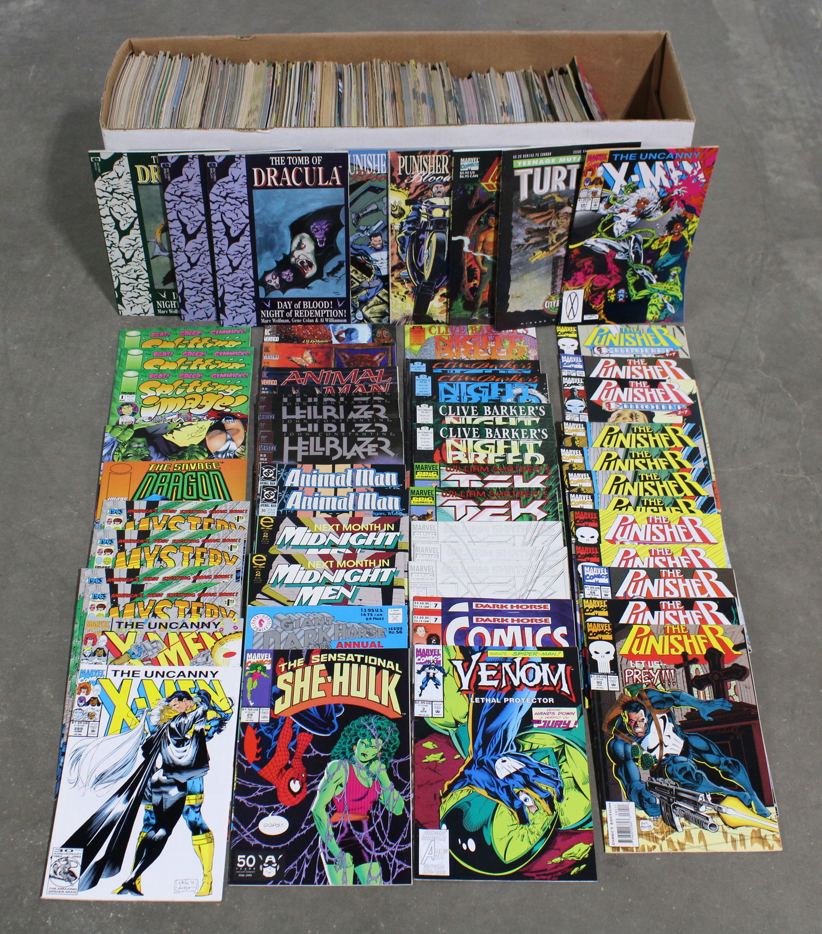 Assorted Comic Books incl. Punisher, TMNT and X-Men (1 of 10)