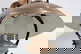item-206513174=2
