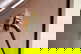 item-206513224=5