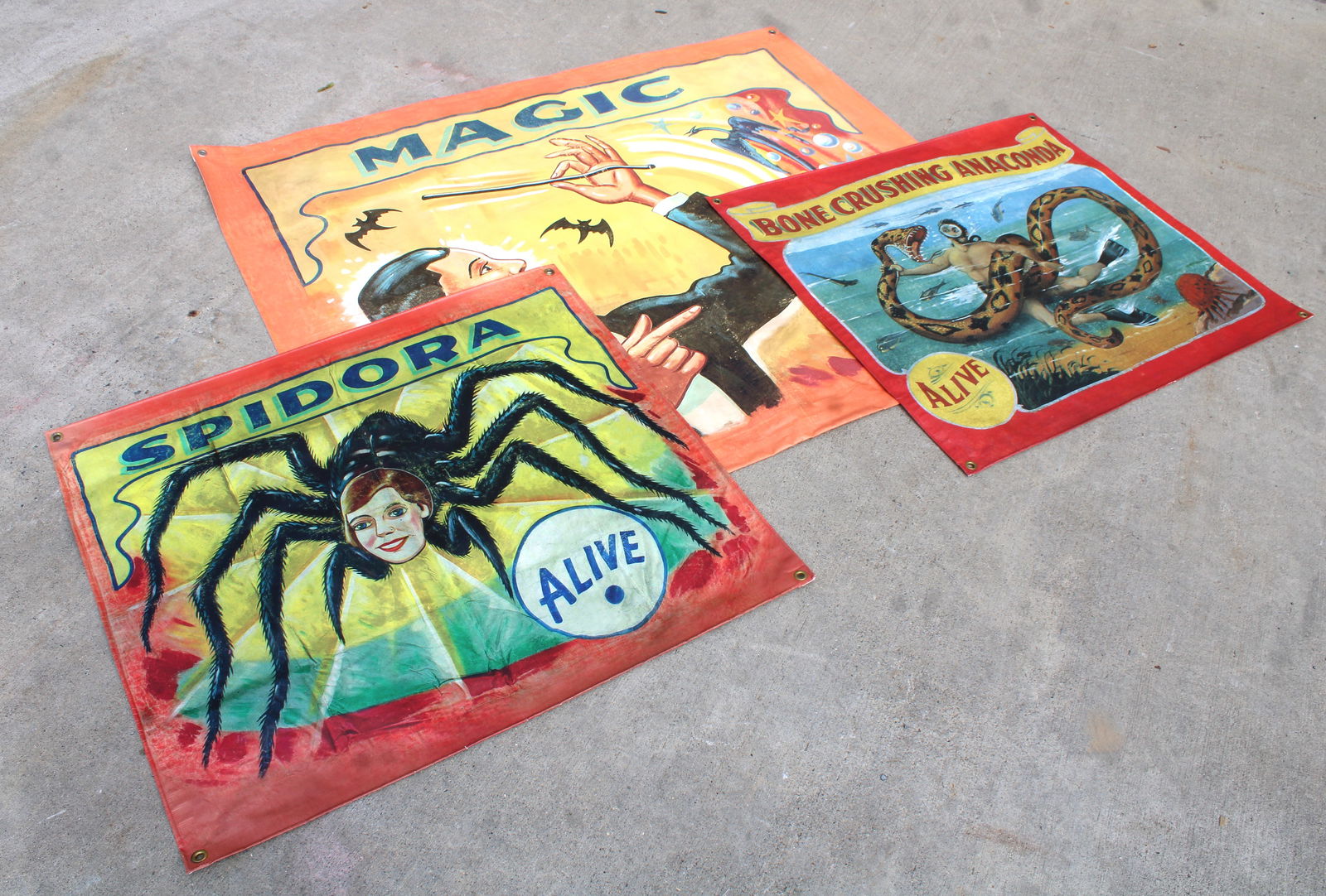 Vinyl Circus Sideshow Banners (1 of 2)