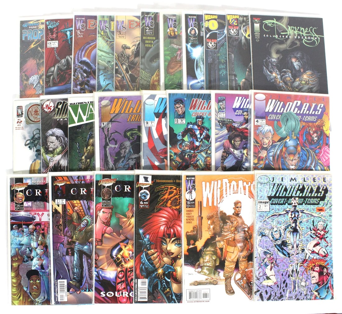 Assorted Image, Top Cow and Cliffhanger! Comic Books: Total of 25 Issues. Assorted issues including Darkness, Wild Cats and Battle Chasers. Bagged and Boarded. Varying conditions. In-house shipping available.