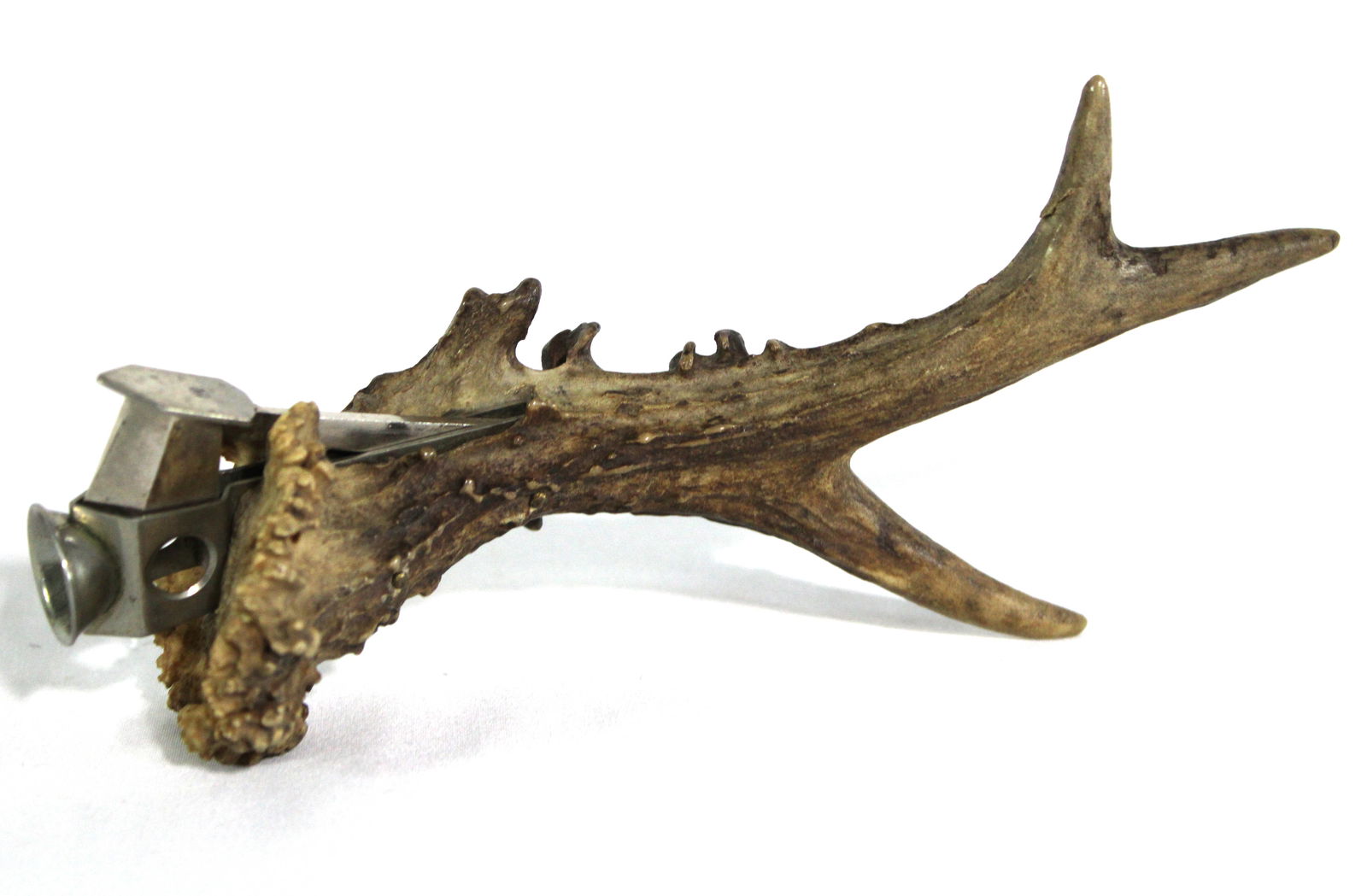 Antler Cigar Cutter - 2