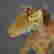 item-116713457=3