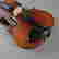 item-129118320=4