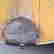 item-129118321=7