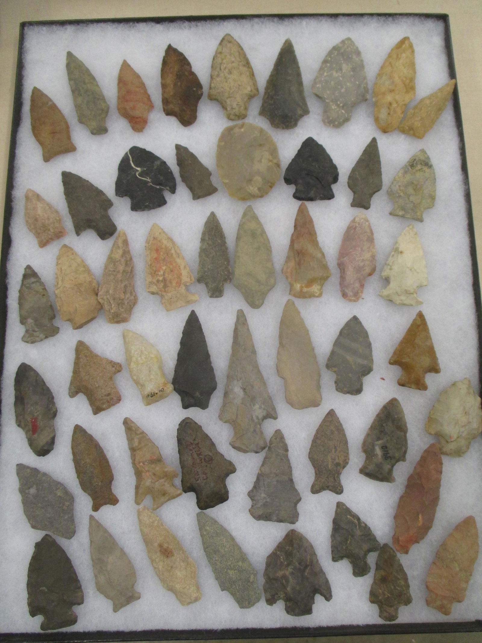 LARGE TRAY OF ARROWHEADS (1 of 1)