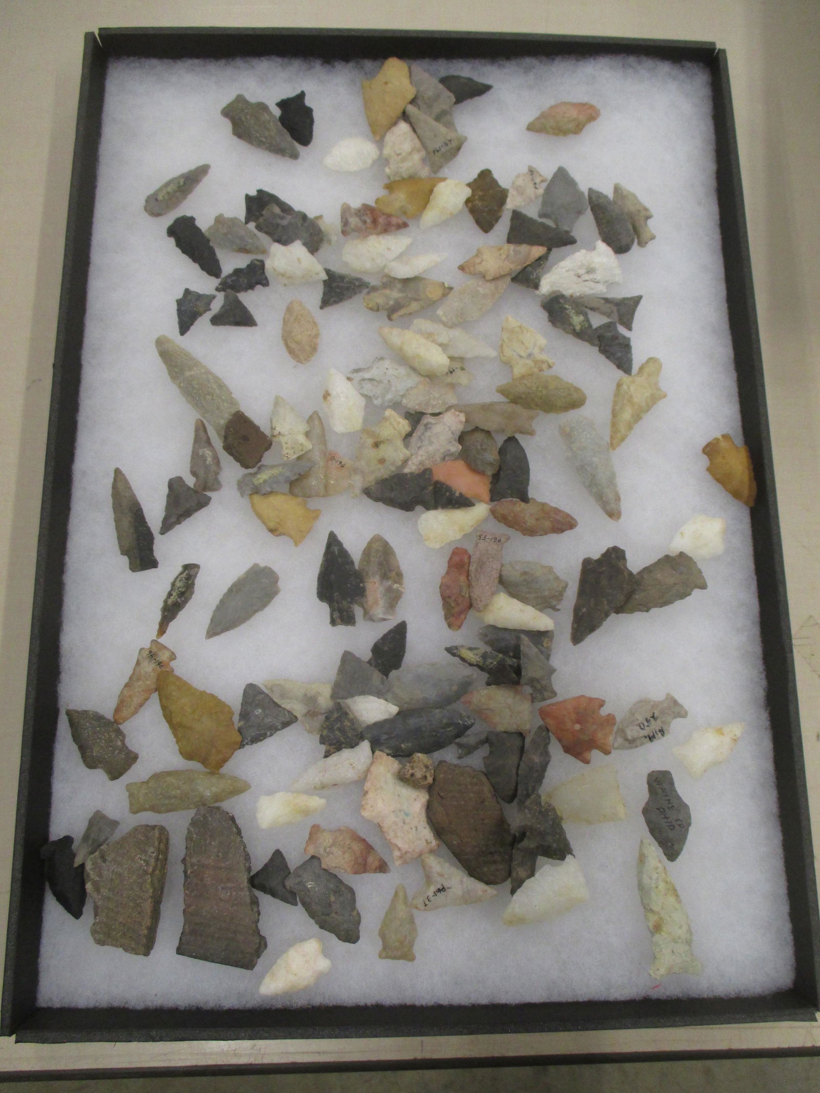 LARGE TRAY OF MISC. ARROWHEADS (1 of 1)
