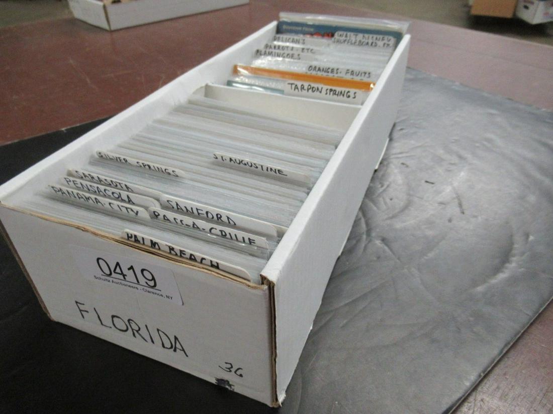 APPROX. 650 POSTCARDS OF FLORIDA: APPROX. 650 POSTCARDS OF FLORIDA INCL PALM BEACH, FLAMINGOS, WALT DISNEY, ETC
